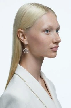 Γυναικεία Swarovski - Σκουλαρίκια Stella χρυσαφί -Swarovski Κατάστημα unnamed file 227