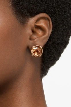 Γυναικεία Σκουλαρίκια Swarovski χρυσαφί -Swarovski Κατάστημα unnamed file 638