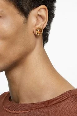 Γυναικεία Σκουλαρίκια Swarovski χρυσαφί -Swarovski Κατάστημα unnamed file 639