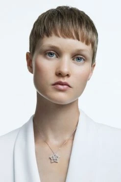 Γυναικεία Swarovski - Κολιέ Stella ασημί -Swarovski Κατάστημα unnamed file 890